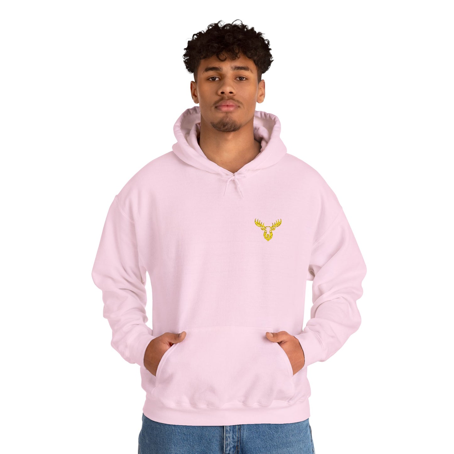 Unisex Premium Hooded Sweatshirt- PA Outfitters
