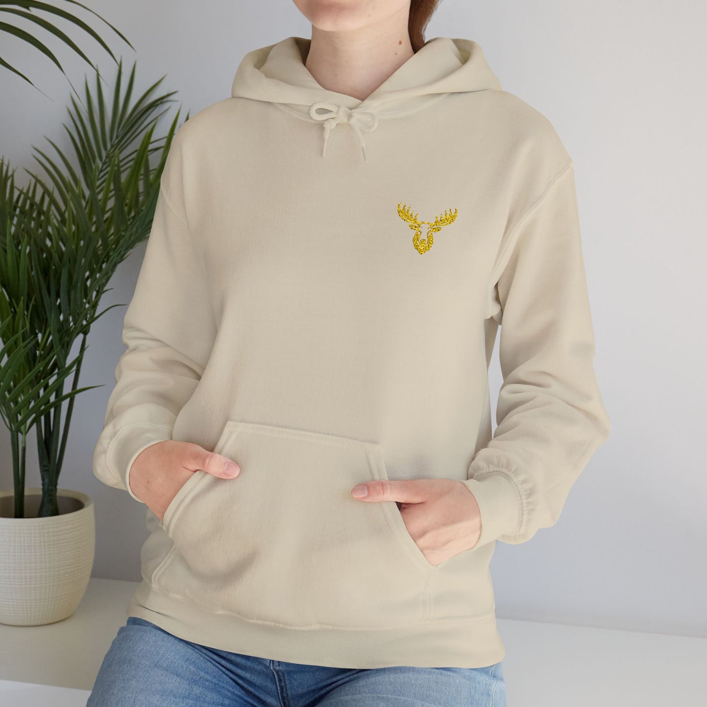 Unisex Premium Hooded Sweatshirt- PA Outfitters