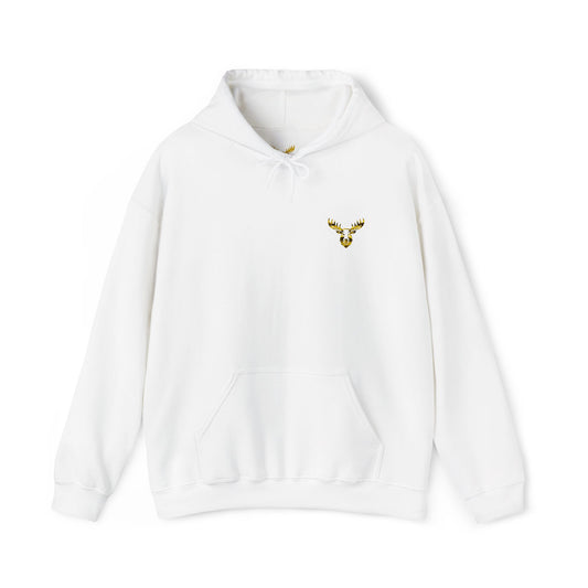 Unisex Premium Hooded Sweatshirt- PA Outfitters