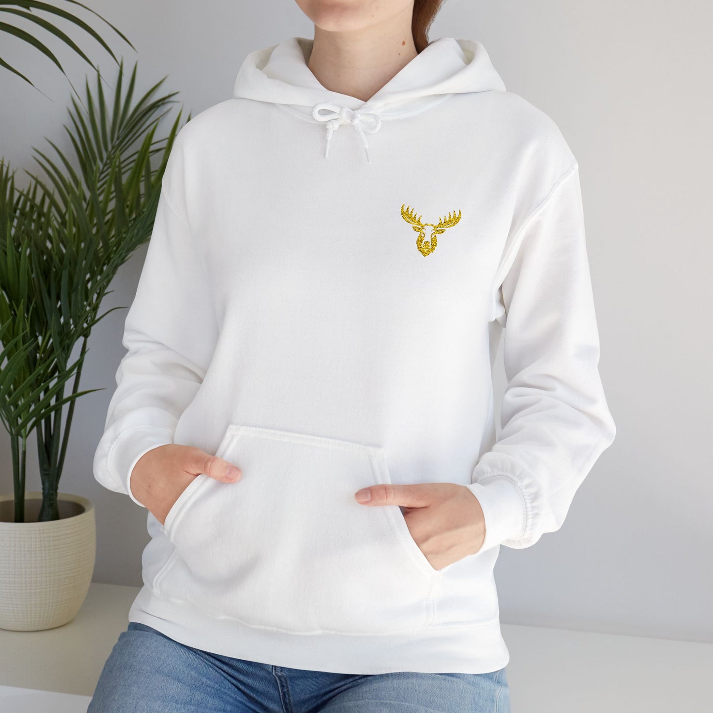 Unisex Premium Hooded Sweatshirt- PA Outfitters