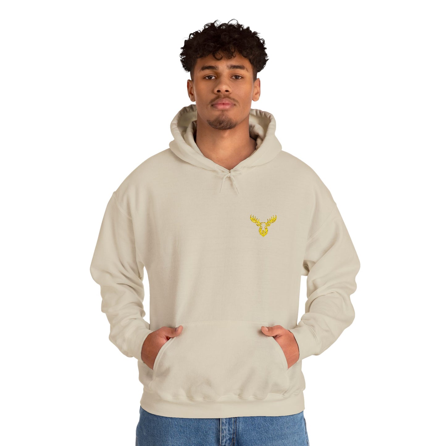 Unisex Premium Hooded Sweatshirt- PA Outfitters