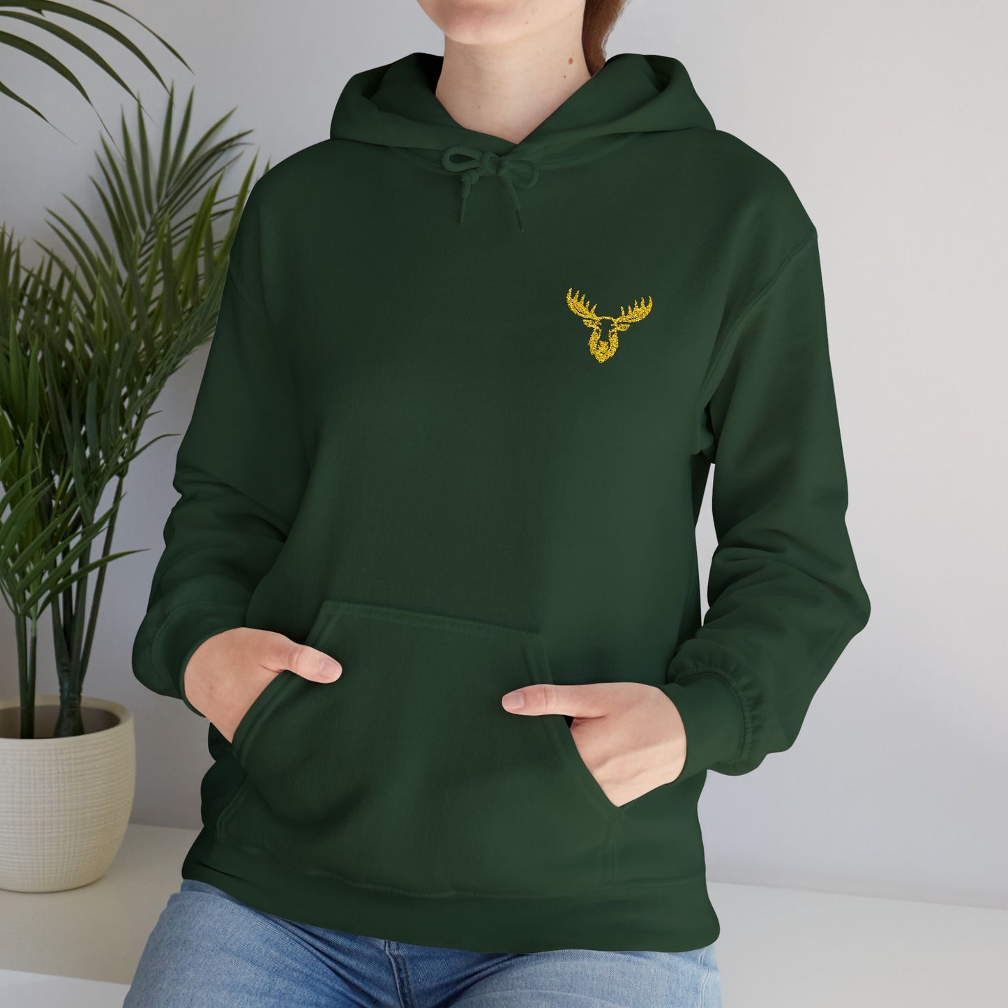 Unisex Premium Hooded Sweatshirt- PA Outfitters