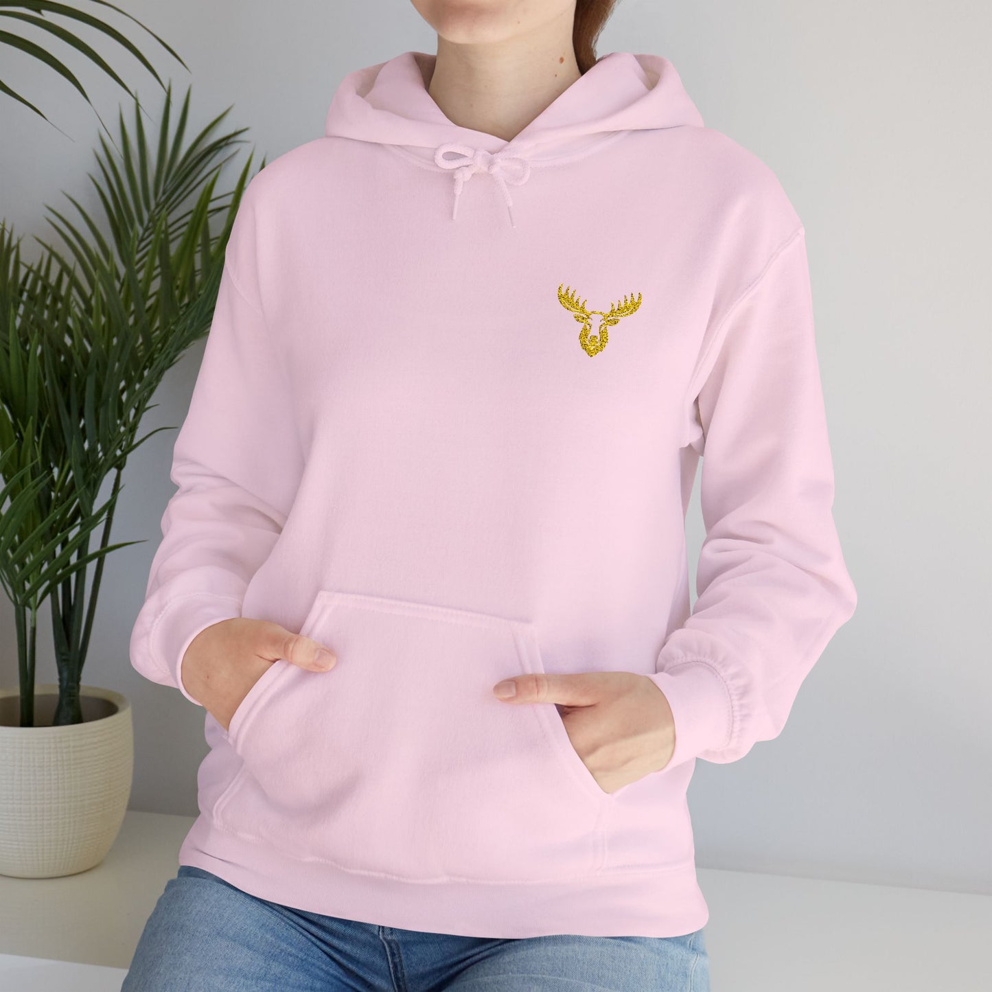 Unisex Premium Hooded Sweatshirt- PA Outfitters